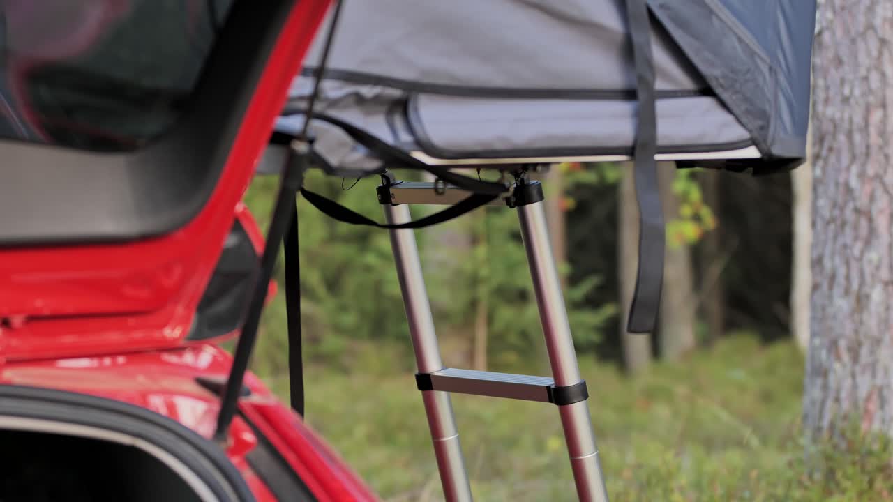 A peaceful rooftop tent is set up amidst trees during golden hour.