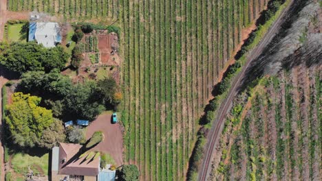 drone looking down flying over a house next to a train track and vineyards