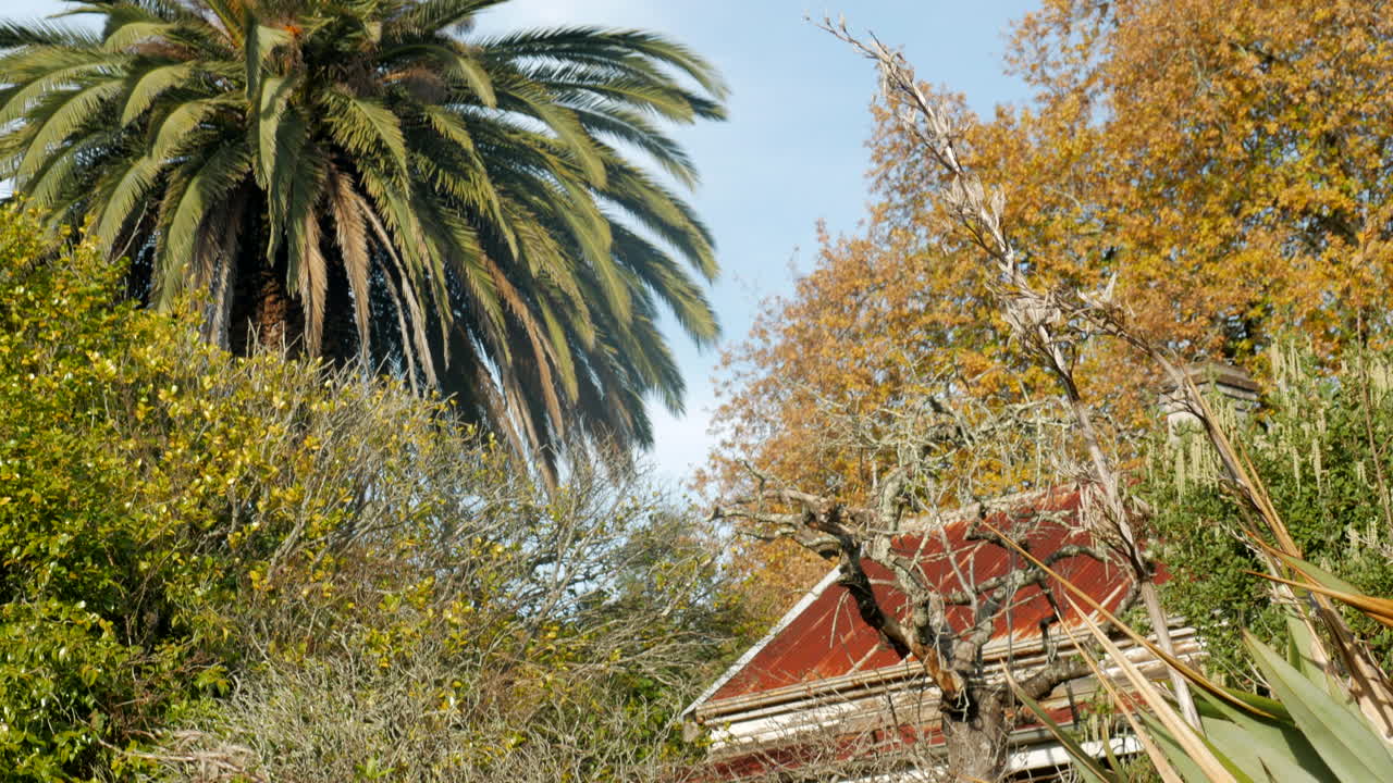 antigua casa de campo abandonada entre follaje cubierto