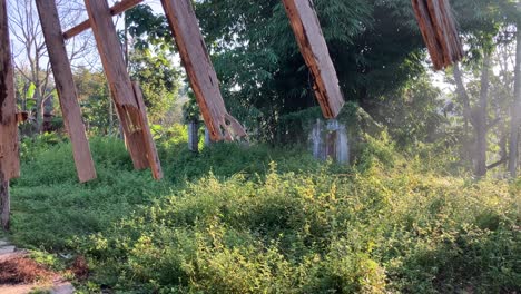 best footage of back yard with an old ruined building in 4k video