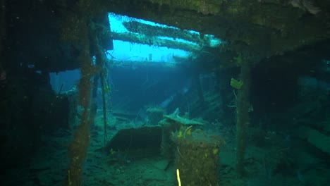 into the shattered bow locker of the deep wreck bianca c