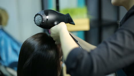 professional hairdresser dyeing hair of woman at salon