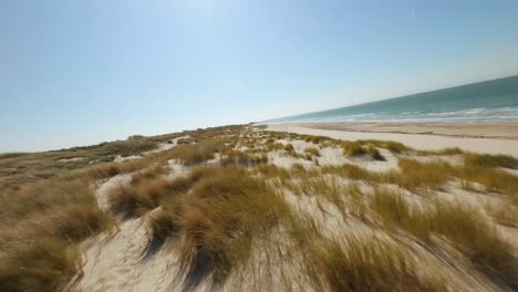 Toma-De-Primer-Plano-De-Un-Lugar-De-Encuentro-Del-Mar-Azul-Ondulado-Y-La-Costa-De-Arena-Y-Hierba