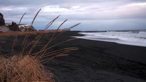 Ikonischer-Islandblick-Mit-Bergwinterwolken-Und-Einem-Schwarzen-Sandstrand-Im-Hintergrund-Und-Seehafer-Im-Vordergrund