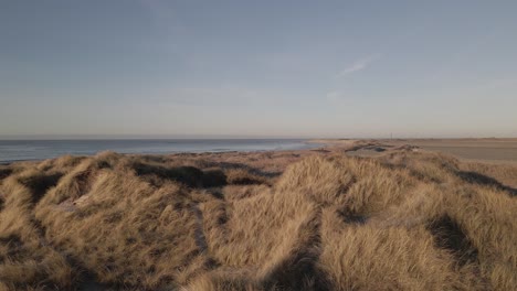 sandy coastal dunes overgrown with yellow grass, aerial orbit shot