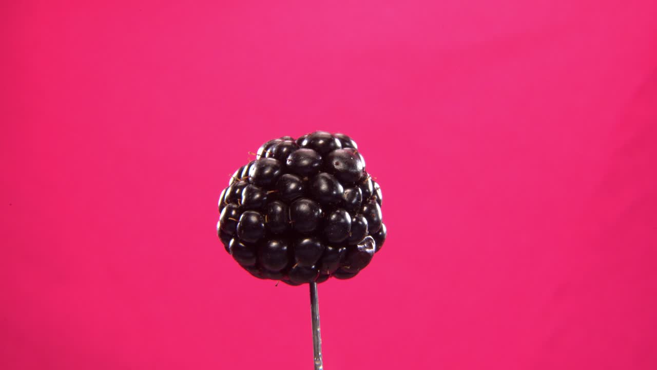 Blackberry rotating with loop on fuchsia screen for chroma key