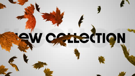 animation of new collection text over leaves falling