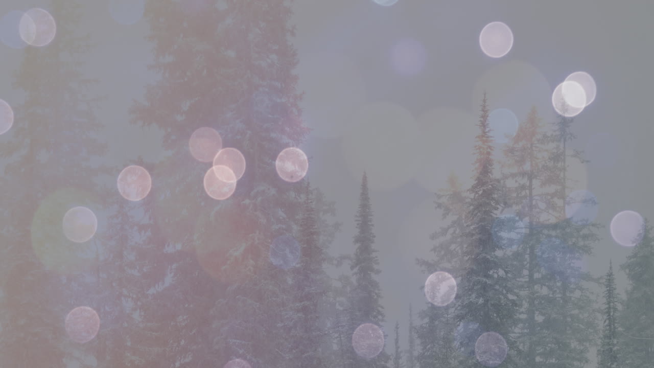 video del paisaje de invierno y puntos de luces brillantes