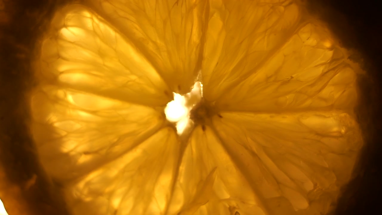 Scatto macro con slider a 50p di una fetta di limone retroilluminata e illuminata dalla luce solare.