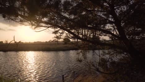 sunset over a tranquil lake and forest