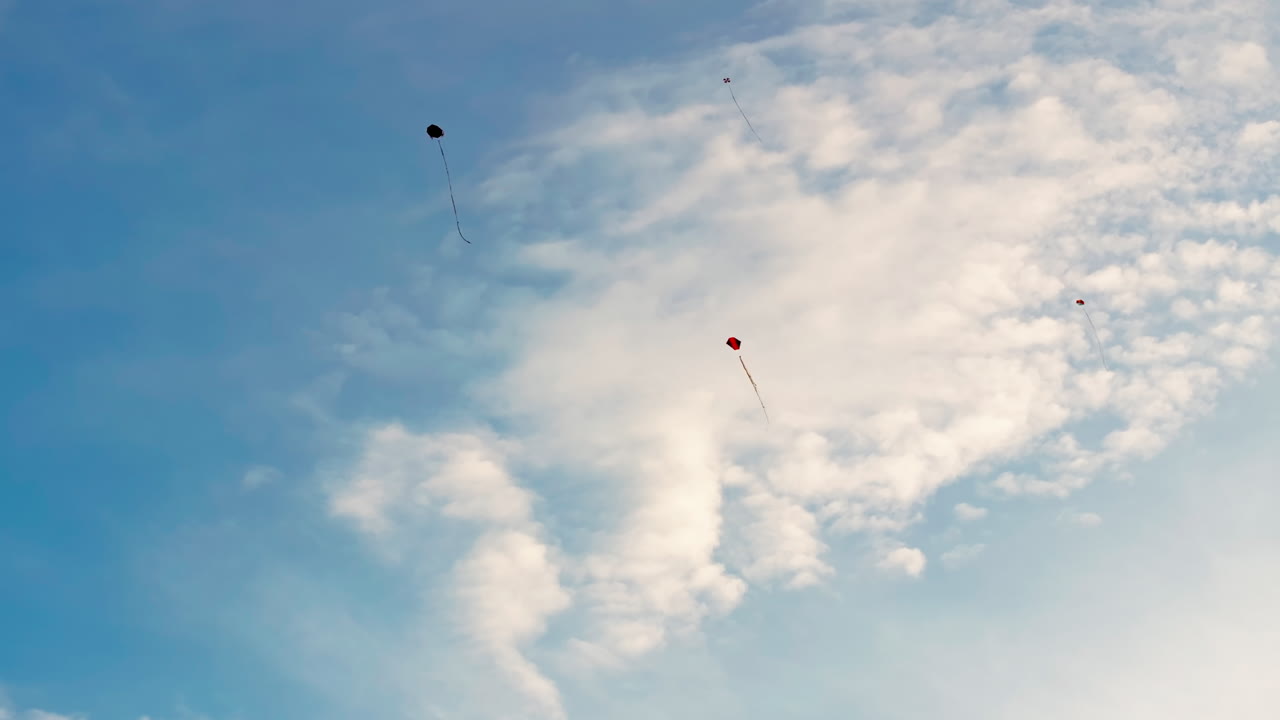 Aquiloni colorati che volano nel cielo, trasportati dal vento e creando una scena giocosa all'aperto, piena di movimento, libertà e una luminosa atmosfera.