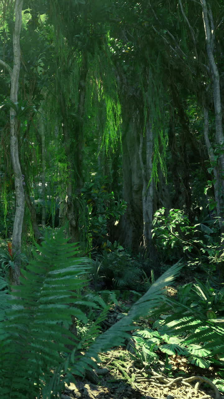 Scena di foresta verde in un'area tropicale con alberi e piante a mezzogiorno