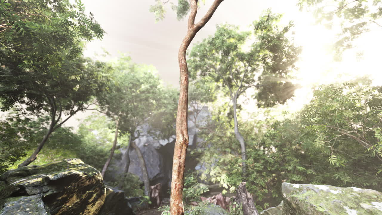 바위와 나무로 숲을 그린 그림