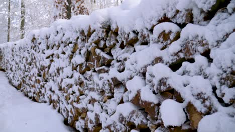 Big-pile-of-snow-covered-firewood-in-winter-wonderland-in-a-forest-during-winter-in-Bavaria,-Germany