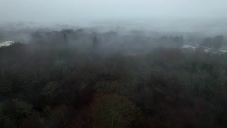 epping forest uk misty foggy morning drone aerial view