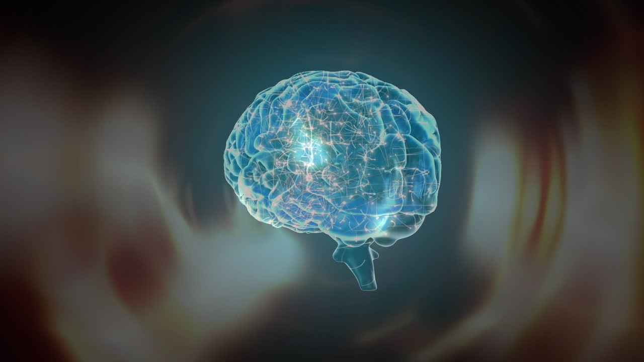 Composizione digitale del cervello umano.