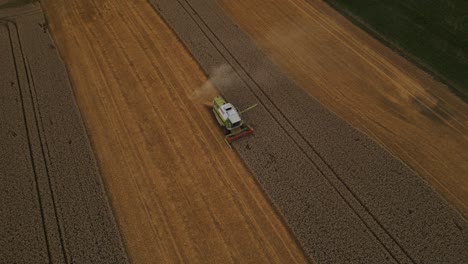 Harvester-efficiently-harvesting-wheat-crops-in-a-field