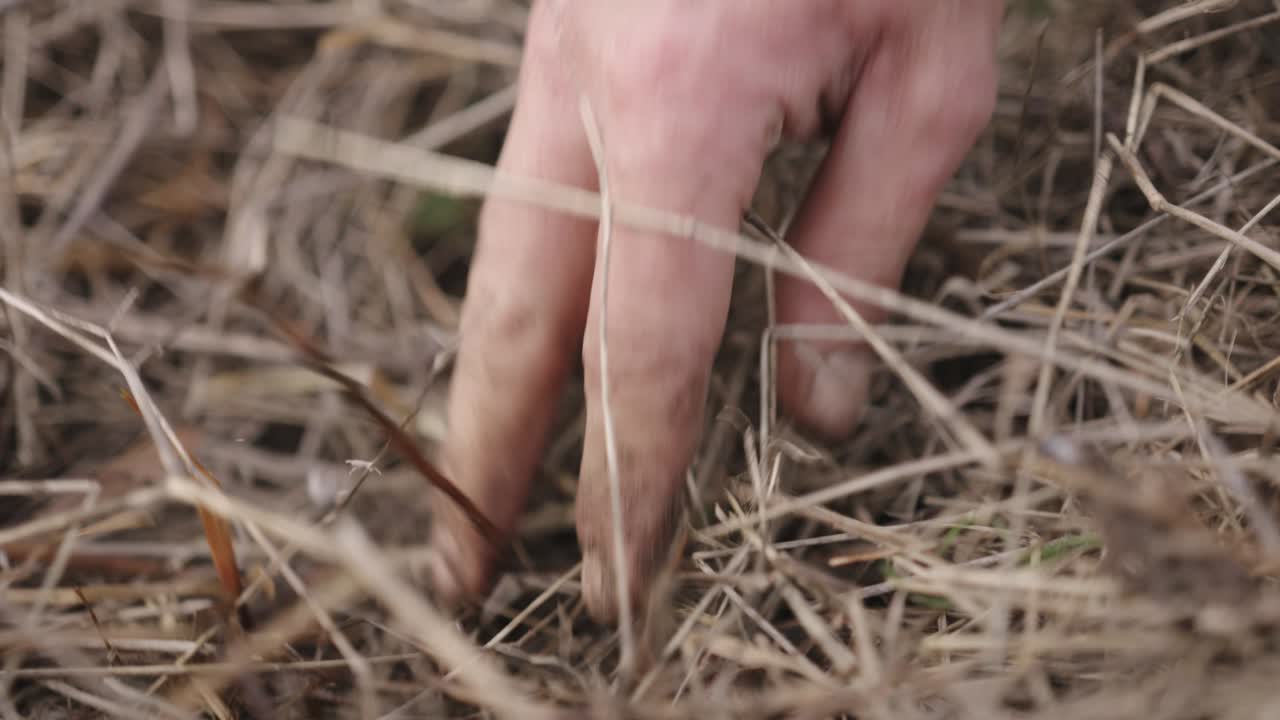 남성 정원사 가 표면 에 풀 을 뿌리는 씨 ⁇  을 가까이 찍는 장면