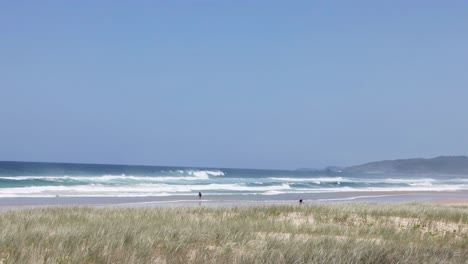 peaceful beach scene with waves and distant hills