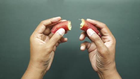 hands breaking a sweet potato