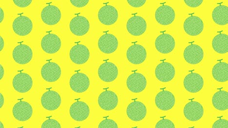 melon illustration loop animation.