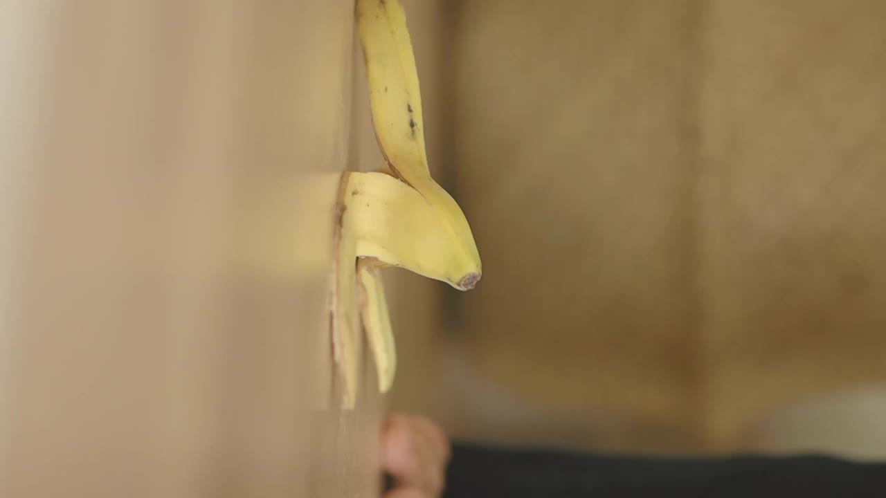 Banana Peel Slip