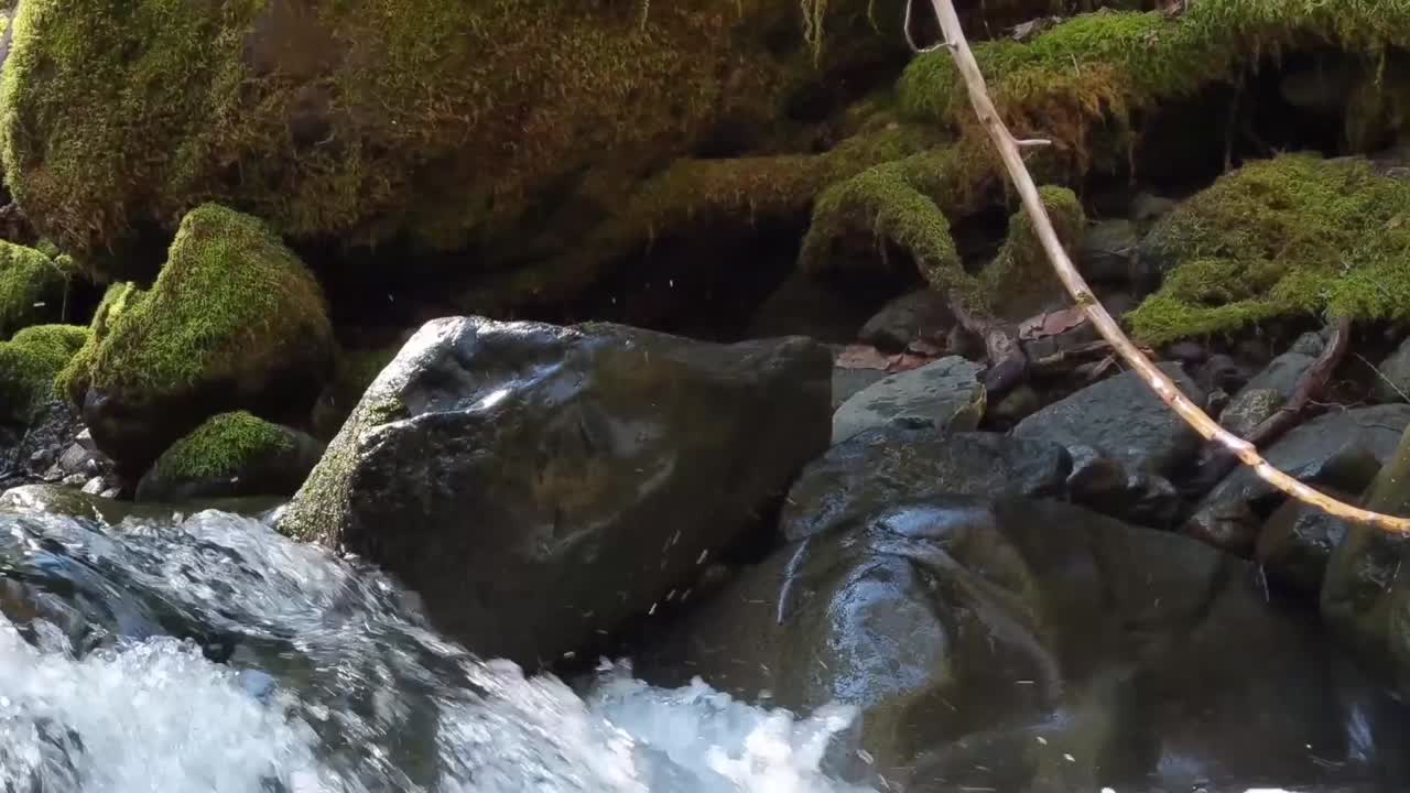 Camera pan from right to left and slow pull out, Water flowing over moss covered rocks in a mountain creek on a warm spring day