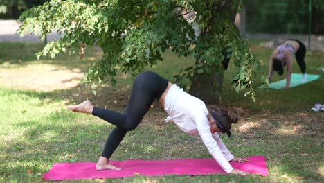 mujeres practicando yoga en un parque
