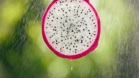 dragon fruit slice splashed by water droplet mist with liquid drip in slow motion bright backlit background