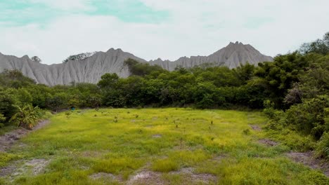 disparo de drone ascendente de campo verde con plantas y montañas volcánicas del mundo lunar a la luz del sol