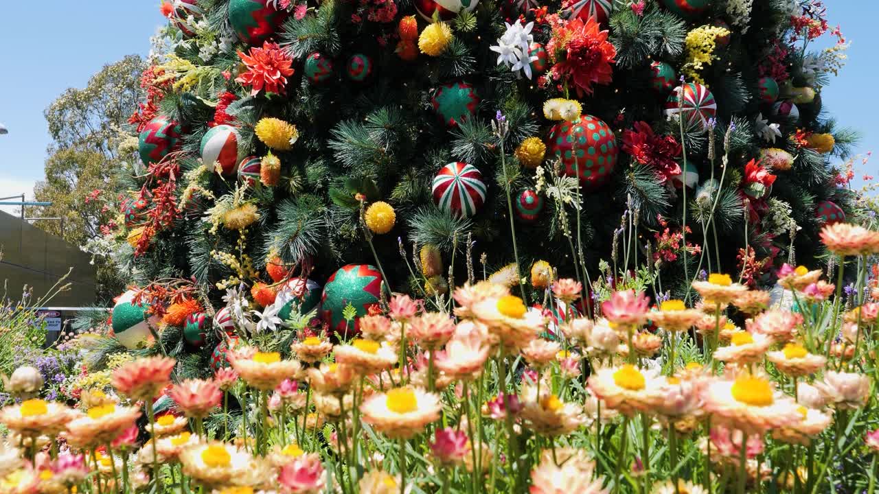 Christmas tree in front of the St Mary's Cathedral, Sydney, Australia. Detail of the Christmas decorations.