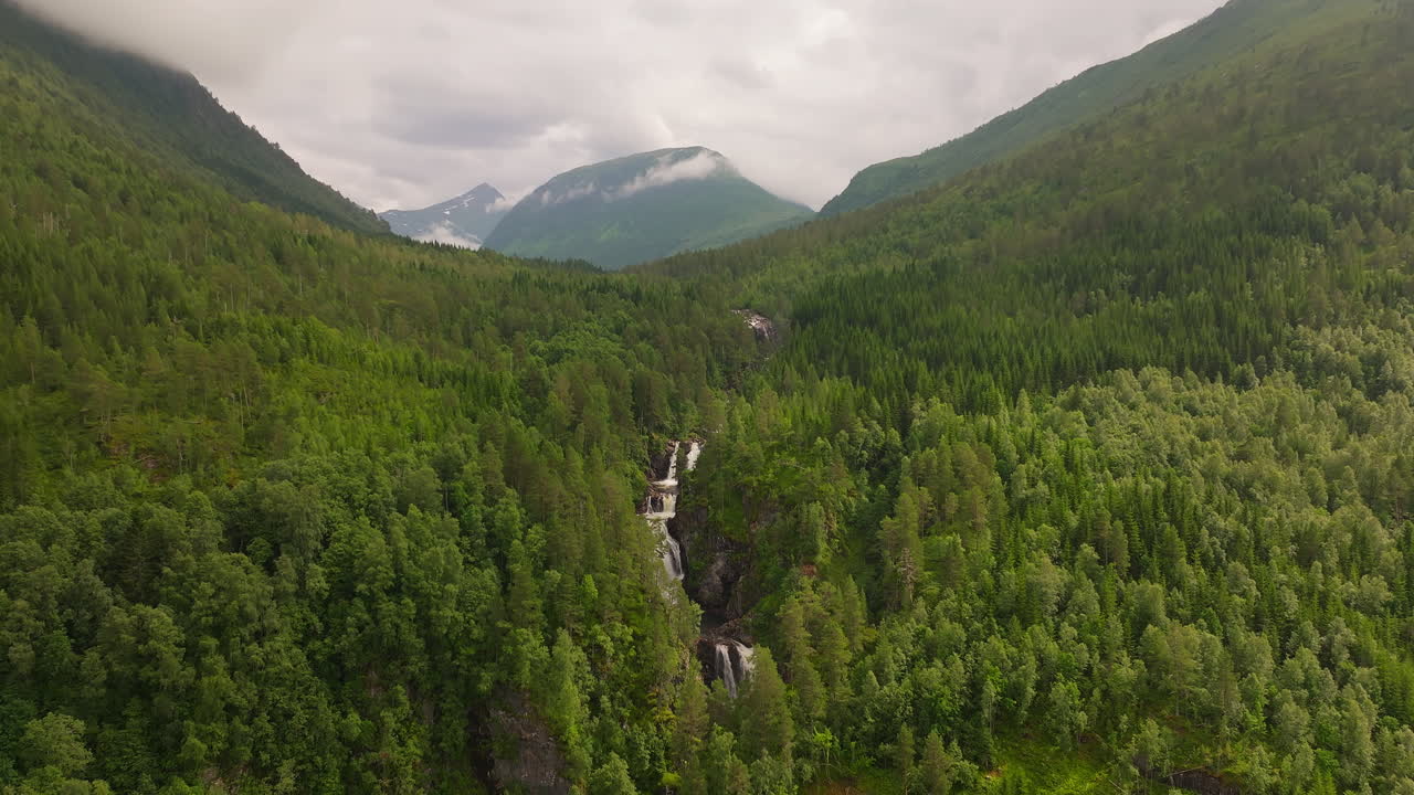 ríos de montaña que fluyen en medio de un bosque exuberante en la costa oeste de noruega