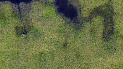 top view of a lone person trekking near green swampy landscape