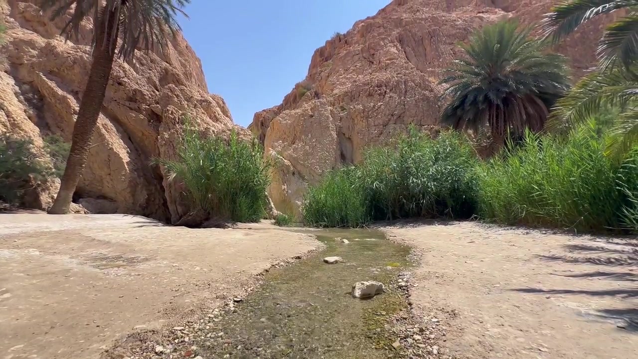 Ruscello poco profondo dell'oasi che scorre attraverso l'oasi di Chebika in Tunisia.