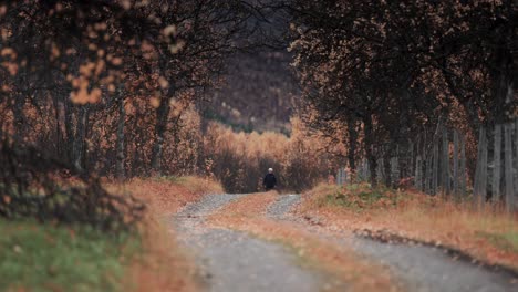 The-narrow-dirt-road-runs-through-the-autumn-landscape