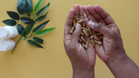 hands holding a pile of herbal supplements