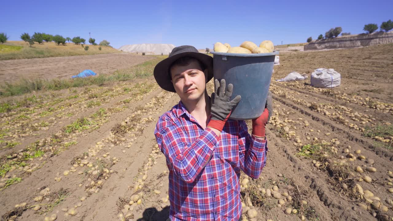 un trabajador en un campo de patatas lleva patatas.