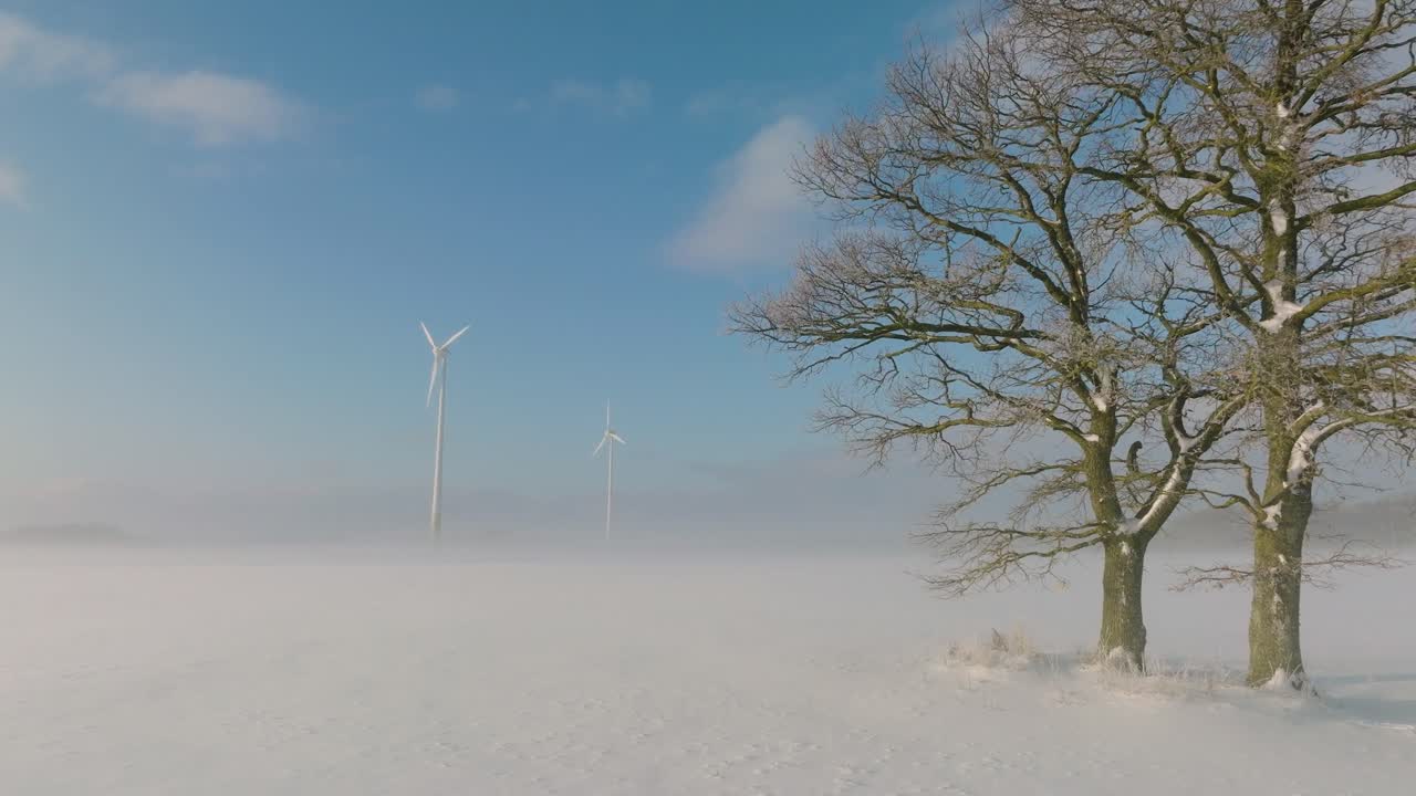 풍력 발전소에서 재생 가능한 에너지를 생성하는 풍력 터빈의 공중 전망, 눈이 가득한 시골 풍경, 안개와 외로운 오크 나무, 화창한 겨울날, 넓은 드론 샷이 앞으로 낮게 움직입니다.