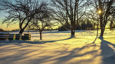 Countryside-orchard-and-beehives-during-golden-sunset,-time-lapse-view