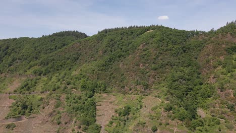 Rotierender-Schuss-Der-Riesigen-Bergkette-Mit-Geschichteten-Weinbergen,-Die-Seitlich-An-Der-Bremmer-Moselschleife,-Deutschland,-Hinaufgehen