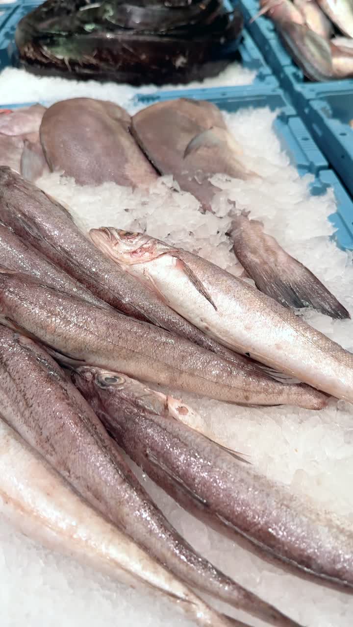 exhibición de pescado fresco en hielo