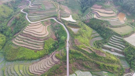 aerial view of rice terraces in vietnam
