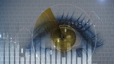 animación de estadísticas y escaneo de alcance con codificación binaria sobre el ojo de la mujer en el fondo