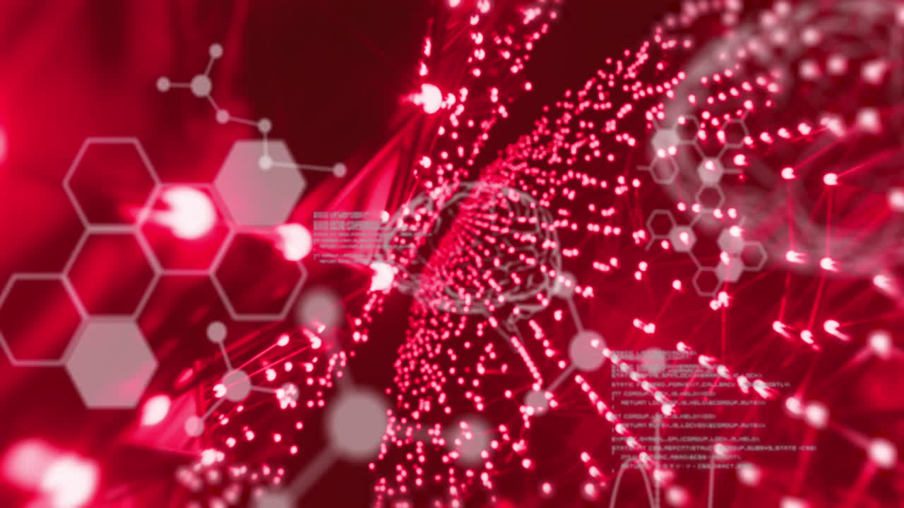 원소, 분자, 뇌 및 데이터 프로세싱의 애니메이션을 빨간 빛의 네트워크를 통해