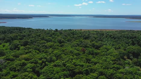 Vista-Aérea-De-Drones-De-Una-Exuberante-Selva-Tropical-Y-Un-Gran-Lago-En-El-Corazón-De-Misiones,-Argentina-En-Un-Día-Soleado