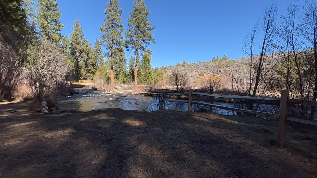 panorámica a lo largo de un arroyo en el bosque