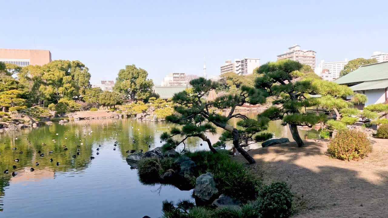 반사 를 가진 울창 한 공원 에 있는 평온 한 호수