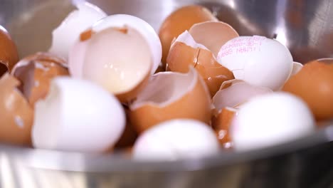 empty egg shells. industrial egg processing. detail shot