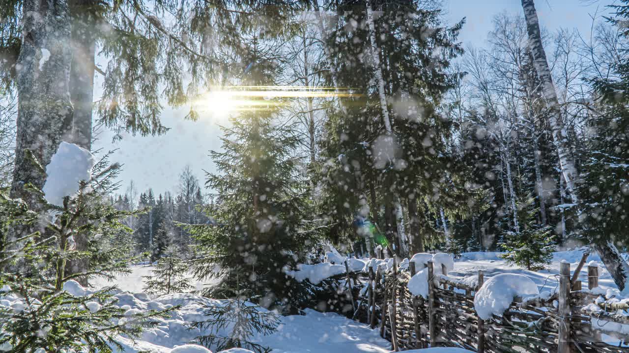 Sneklædt skov. Ovenfra-udsigt i en sneklædt vinterskov, naturlandskab, frosne skove