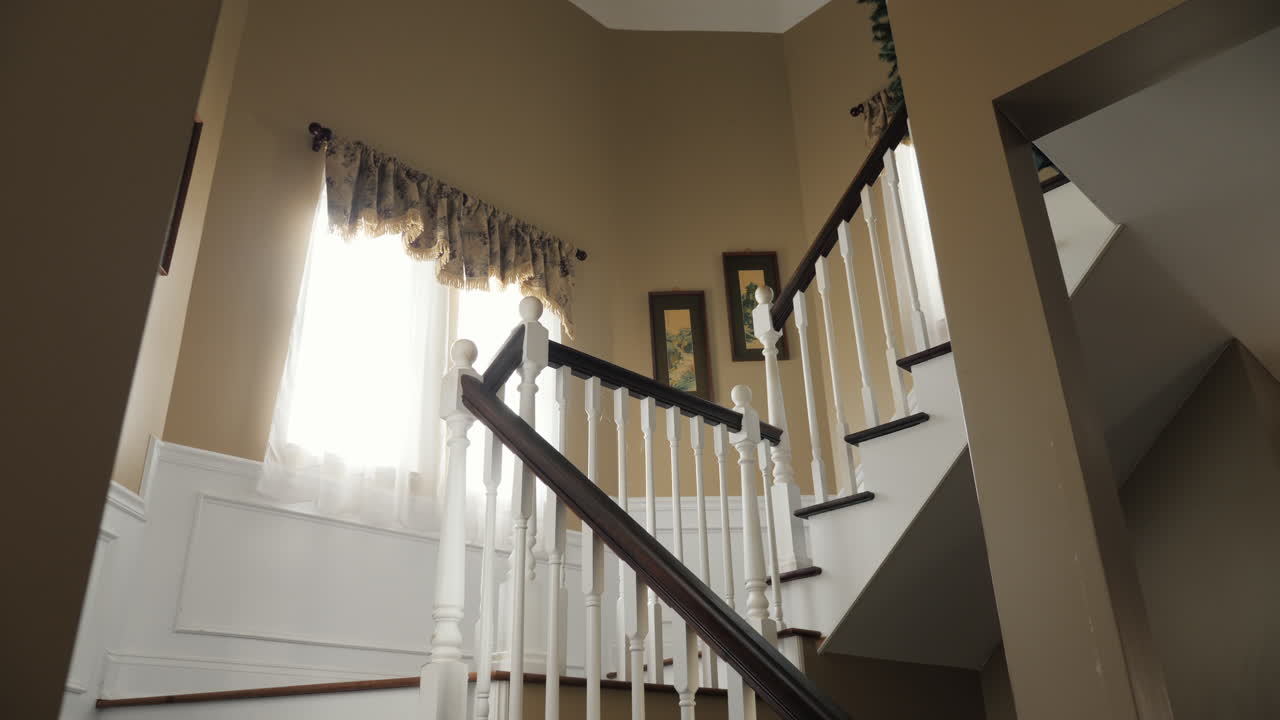 남자는 아래층에 크리스마스 트리를 운반